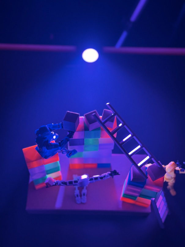 Reference 20260219-1